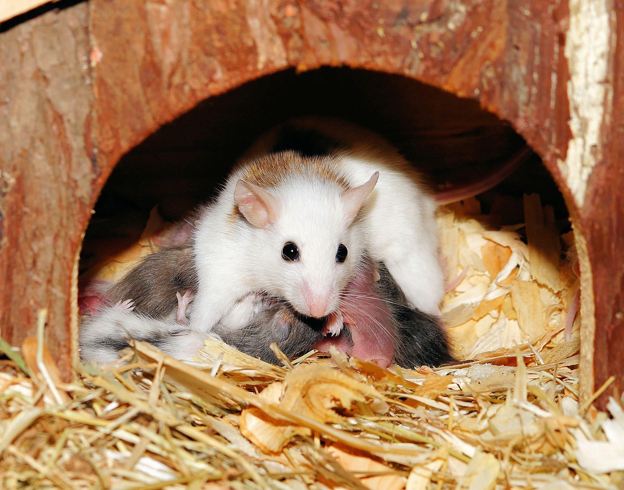 授乳中でも可能な医療ダイエットの方法は？